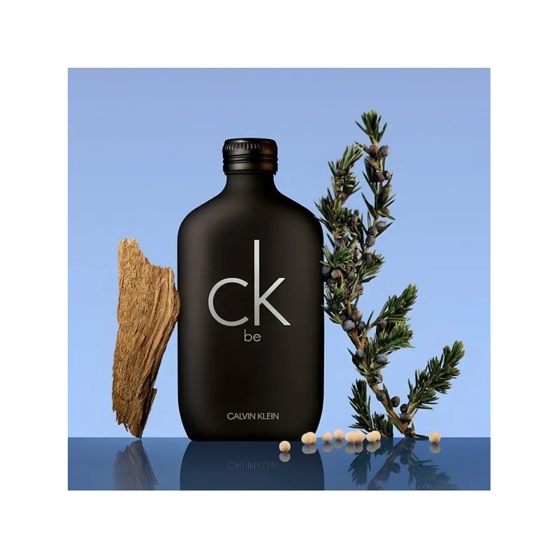 CK Be Calvin Klein – Eau de Toilette Mixte 200 ml