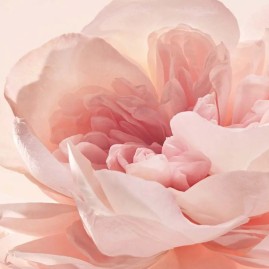 Eau de Parfum Garden Party - 100 ml