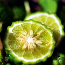 Granit Bleu - Eau de Toilette - 100 ml