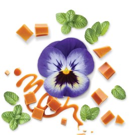 mauboussin-pour-lui-in-black