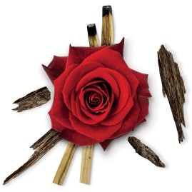 Cristal oud - eau de parfum - 100 ml